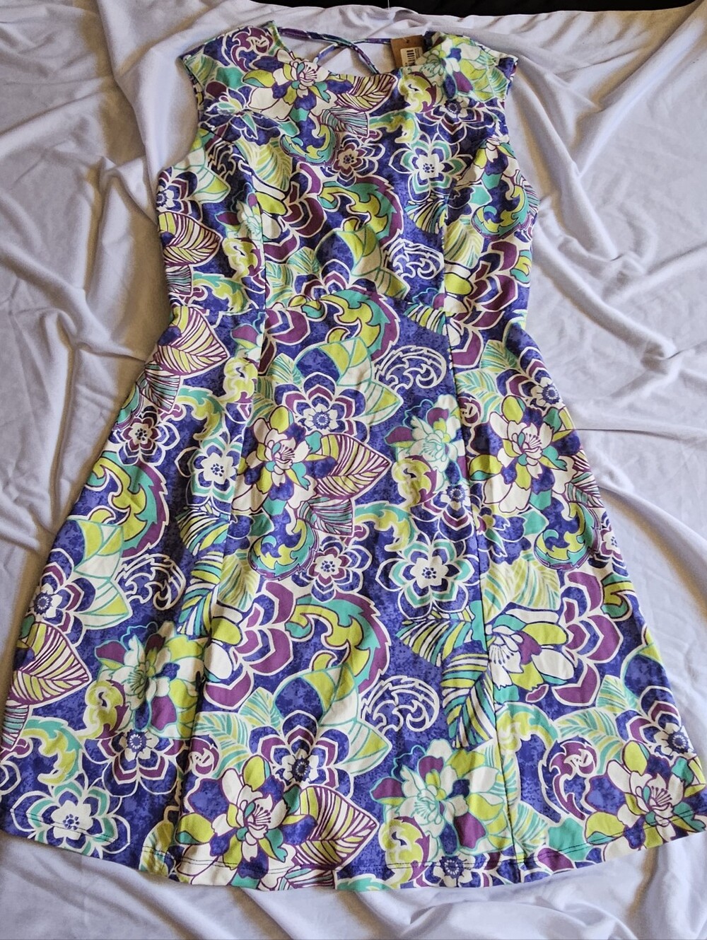 Title Nine Steadfast Sleeveless Floral A-Line Dress in Purple & Green